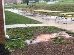 Rain Garden-00
